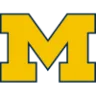Michigan badge