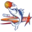 Fujian Sturgeons badge