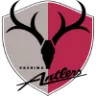 Kashima Antlers badge