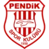 Pendikspor badge