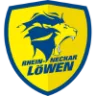 Rhein-Neckar Löwen badge