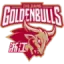 Zhejiang Golden Bulls badge