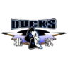 Beijing Ducks badge