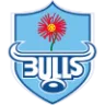 Bulls badge