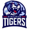 Straubing Tigers badge