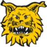 Ilves badge
