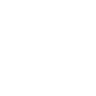 Stormers badge