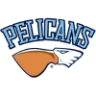 Pelicans badge