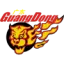 Guangdong Southern Tigers badge