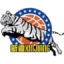 Xinjiang Flying Tigers badge