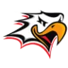Vaasan Sport badge