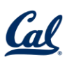 California badge