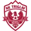 Triglav Kranj badge