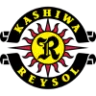 Kashiwa Reysol badge