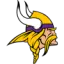 Minnesota Vikings badge