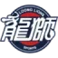 Guangzhou Long-Lions badge
