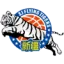 Xinjiang Flying Tigers badge