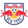New York Red Bulls badge
