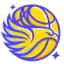 Bendigo Spirit badge