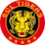 SCL Tigers badge