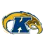 Kent State badge