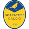 Scafatese badge
