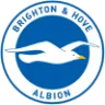 Brighton and Hove Albion badge